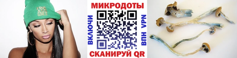 Купить где  Бежецк  Галлюциногенные грибы Psilocybe 